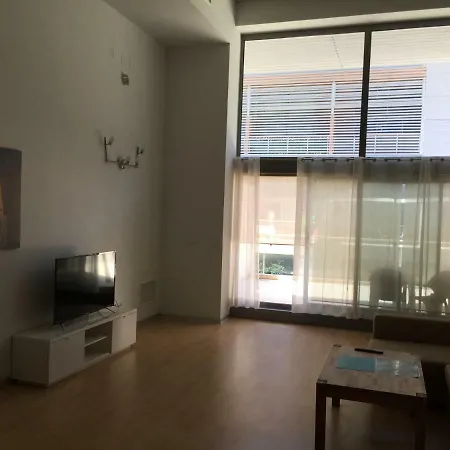 Loft With Terrace 24m2, Swimming Pool And Garage Chirivella