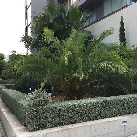 Loft With Terrace 24m2, Swimming Pool And Garage * Chirivella
